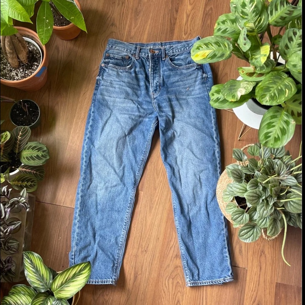 AE 90s boyfriend jeans - Picture 1 of 5